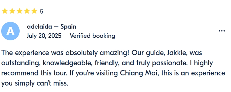 pon elephpant chiangmai thailand reviews